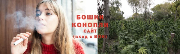 ешки Арсеньев