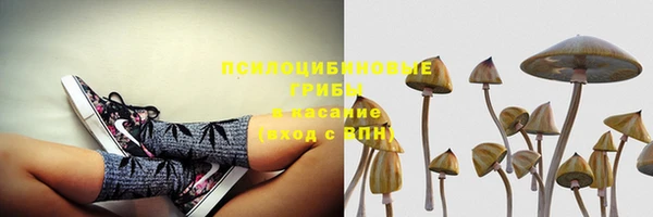 ешки Арсеньев