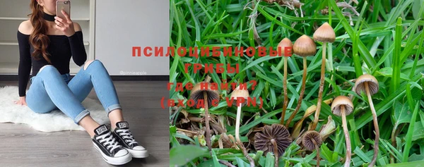 MESCALINE Аркадак