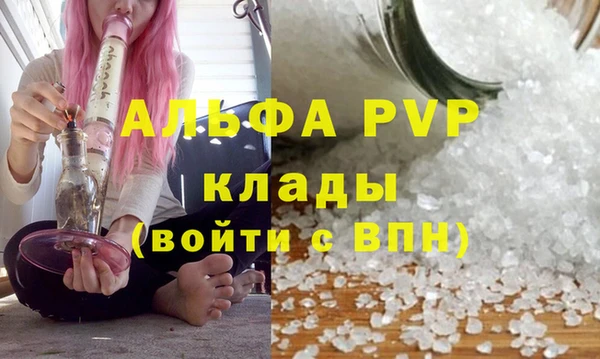 ешки Арсеньев