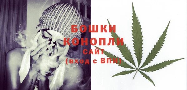 ешки Арсеньев
